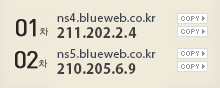 1차 - ns4.blueweb.co.kr, 211.202.2.4, 2차 - ns5.blueweb.co.kr, 210.205.6.9